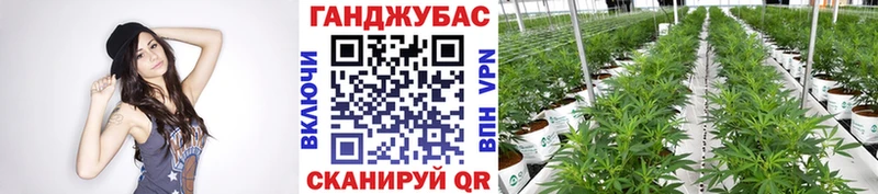 Как найти наркотики Усть-Илимск Гашиш  Бошки Шишки  СК  Мефедрон 